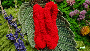 PLUSH | Bag Charm Doll Kit