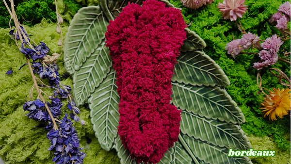 PLUSH | Bag Charm Doll Kit