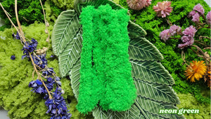 PLUSH | Bag Charm Doll Kit